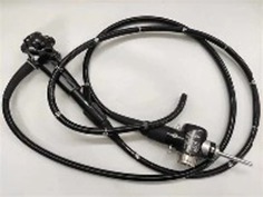 Endoscope